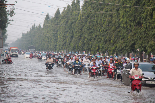 Triều cường bủa vây ĐBSCL