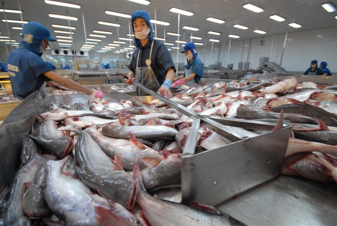 Ngành nông nghiệp đối mặt nhiều thử thách vào nửa cuối năm