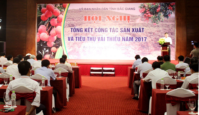 Hơn 1.000 hộ dân thu nhập trên trăm triệu đồng nhờ vụ vải thiều 2017