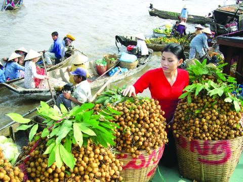 Cảnh báo đỏ hàng Việt bị Mỹ trả về: Làm ẩu quá!